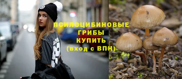 стафф Арсеньев