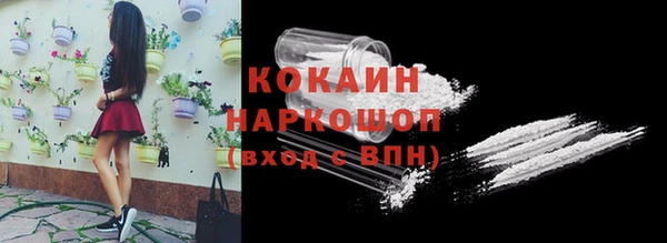 сатива Аркадак