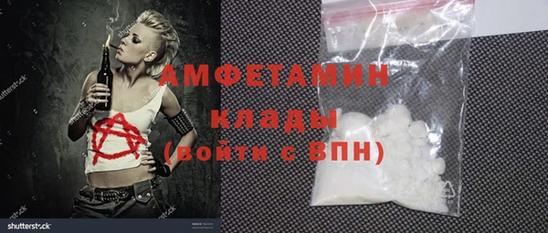 индика Тихвин
