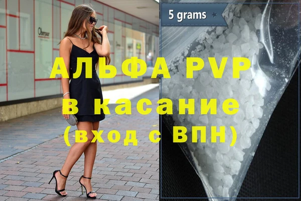 сатива Аркадак