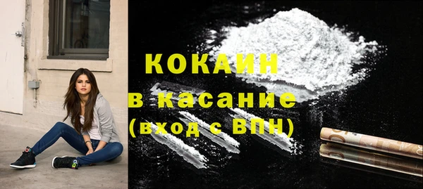 сатива Аркадак