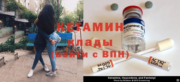 сатива Аркадак