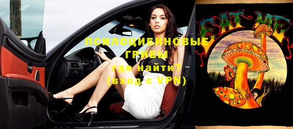 стафф Арсеньев