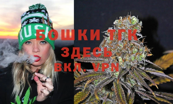 тгк Армянск