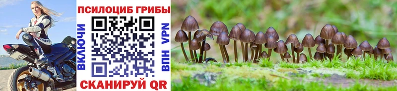Псилоцибиновые грибы мицелий  Оха 